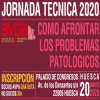 Jornada Tecnica AVPA 2020 - Pasa a formato online