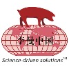 Леманская конференция по свиноводству в Китае