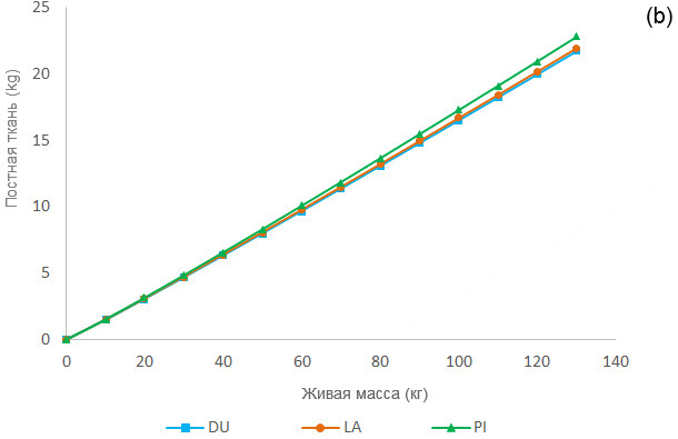 Allometric growth of fat tissue