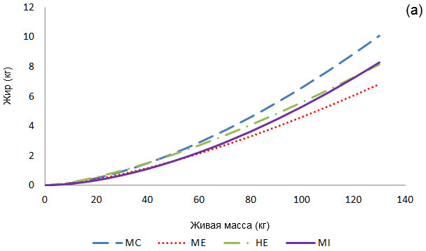 Allometric growth of fat tissue