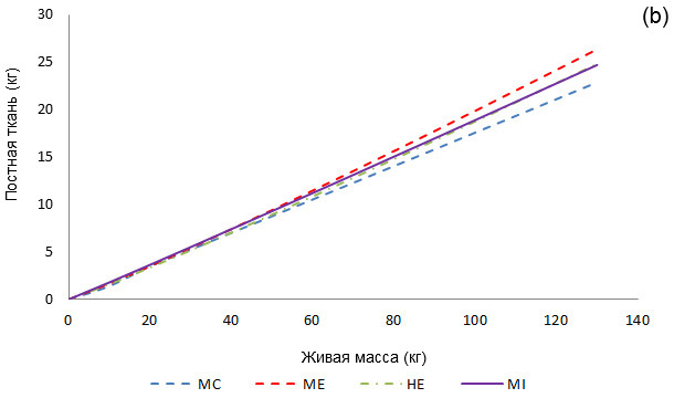 Allometric growth of fat tissue