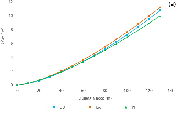 Allometric growth of fat tissue