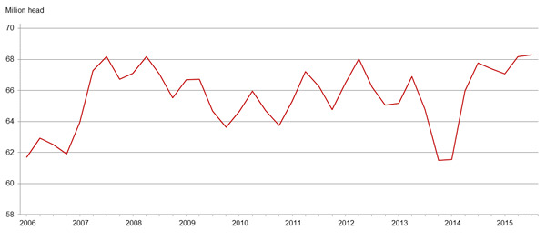 hogs quarterly usa