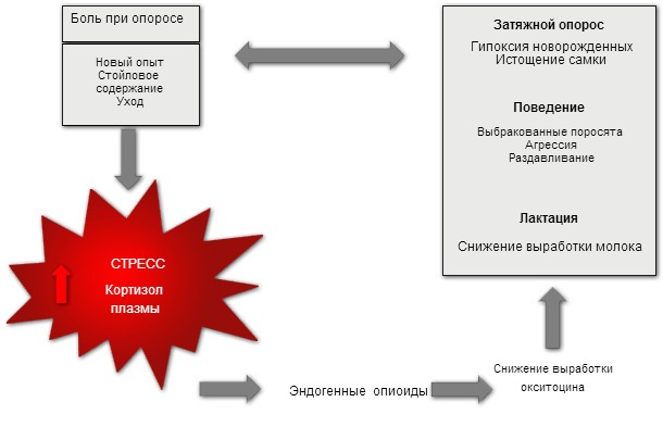 Стресс и боль в результате родов