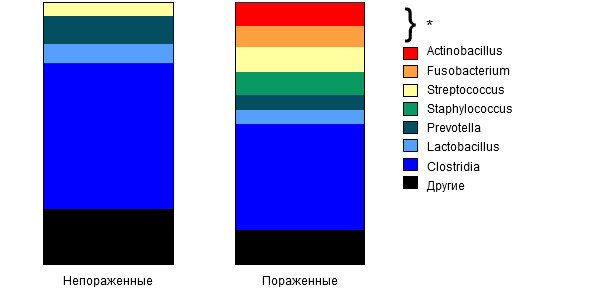 Relative abundance by group