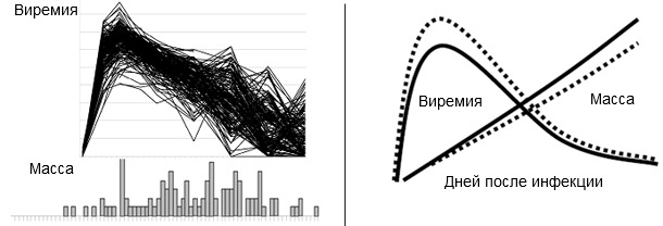 PRRSV disease phenotypes at the population level and The favorable effect of the beneficial marker in SSC4 on weight gain and viremia in young pigs