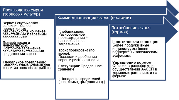 Главные предрасполагающие факторы для загрязнения микотоксинами.