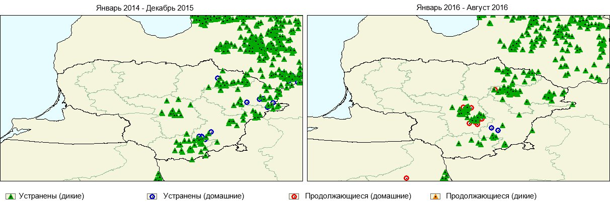 АЧС в Украине