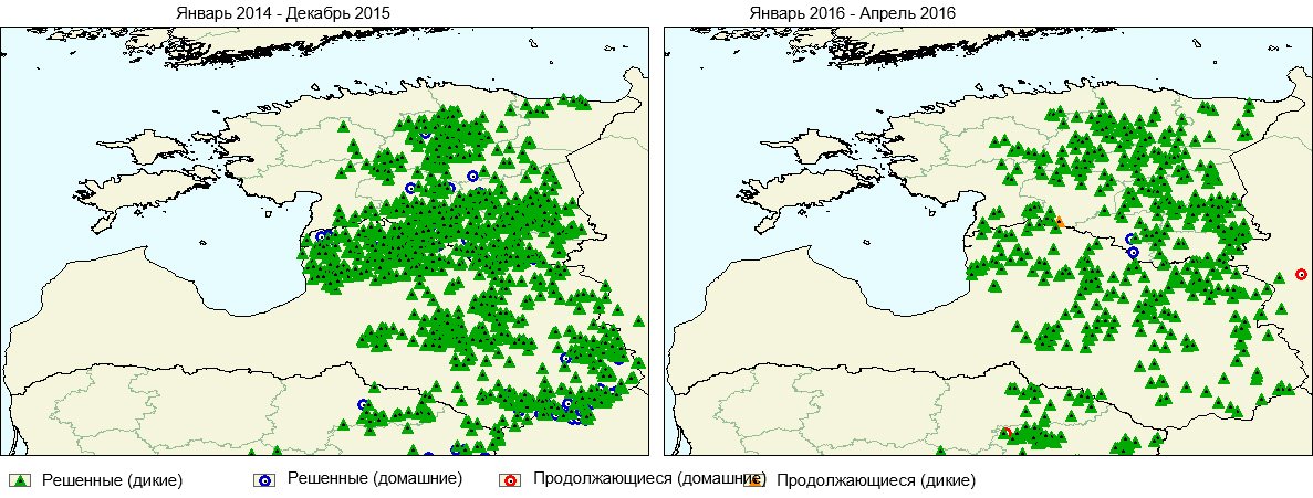 ASF in Ukraine