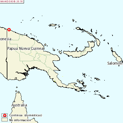 Aujeszky Papua New Guinea.png