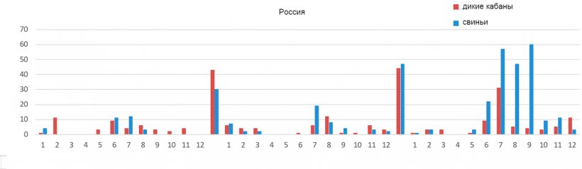 Monthly evolution of the ASF outbreaks in Russia
