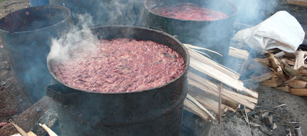 Варка пищевых отходов перед кормлением свиней на полу-коммерческой ферме в Киамбу, Кения