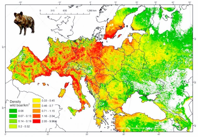 Рисунок 2. Предположительное количество диких кабанов в Европе. Источник: FAO-ASFORCE, май 2015.
