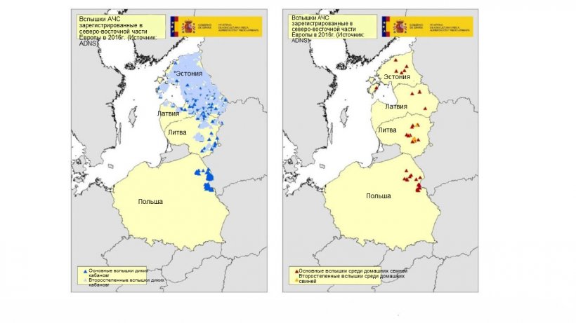 Карта вспышек, зарегистрированных в Эстонии, Латвии, Литве и Польше в 2016г. (Источник:RASVE-ADNS)
