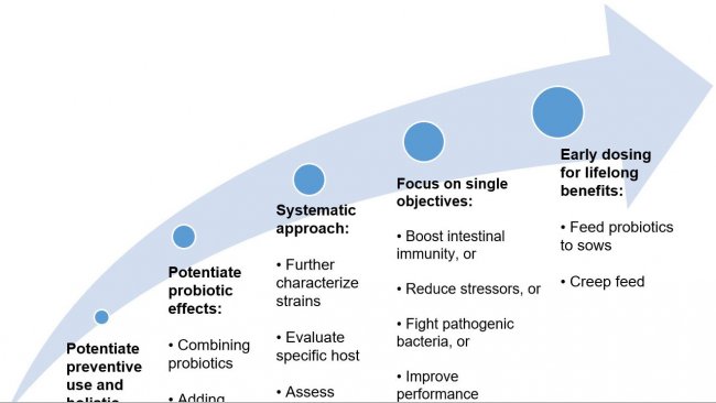 Рисунок 2. Стратегии по повышению пользы от применения пробиотиков на ранних этапах жизни.

