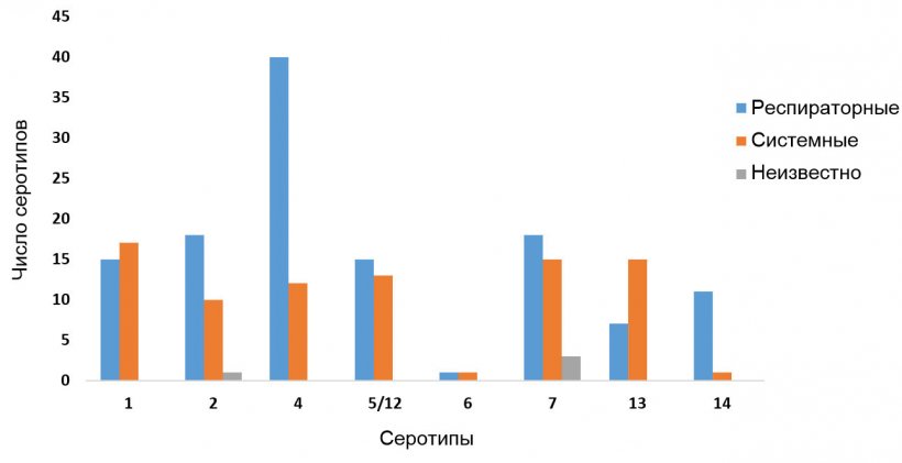 Рисунок 2: Дистрибуция серотипов Haemophilus parasuis в респираторных и системных изолятах, исследованных с помощью серитипирующей ПЦР
