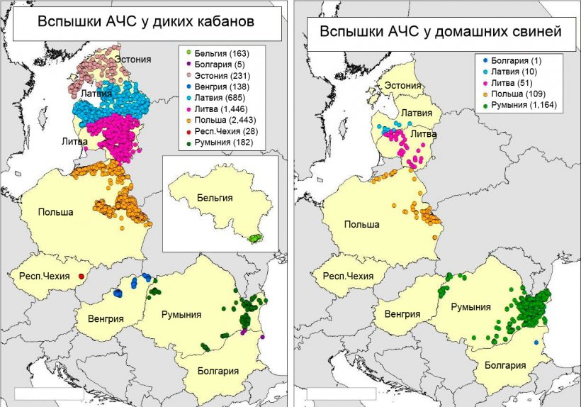 Карта вспышек в Бельгии, Болгарии, Эстонии, Венгрии, Латвии, Литве, Польше, Республике Чехия и Румынии в 2018 г. (Источник: RASVE-ADNS)
