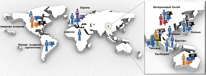 Рисунок 1. Самые важные типы последовательностей (STs) серотипа 2 Streptococcus suis, определенные мультилокусным секвенированием (MLST). Штаммы ST1 серотип 2 прочнее всего связаны с болезнью свиней и человека в Европе, Азии, Африке и Южной Америке (Аргентина). ST7, однолокусный вариант ST1, эндемичен в материковом Китае. Другая ситуация в Северной Америке, где описано всег несколько случаев инфекции ST1 у свиней и всего 1 случай &ndash; у человека. На самом деле, штаммы Североамериканского серотипа 2 относятся, в основном, к ST25 (человек и свиньи) и ST28 (только свиньи). Эта последняя ST так же ассоциируется с клиническими случаями у свиней в материковом Китае, Австралии, Японии и Тайланде. Интересно то, что Япония и Тайланд &ndash; единственные страны, из которых сообщали о случаях ST28 так же и у человека. Кроме того, случаи североамериканского ST25 были зафиксированы в Австралии и Тайланде. Наконец, ST20 превалентен только в Европе (в основном, в Нидерландах). На этом рисунке, числа (1, 20, 25, 28, 104) в разных местах представляют различные STs (т.е., ST1, ST20, ST25, ST28, ST104), и каждый ST показан различным цветом. Рисунок был взят, с изменениями, из: Segura M, Fittipaldi N, Calzas C, Gottschalk M. Critical Streptococcus suis virulence factors: Are they all really critical? Trends Microbiol. 2017; 25(7):585-599. doi: 10.1016/j.tim.2017.02.005, разрешение на использование имеется.
