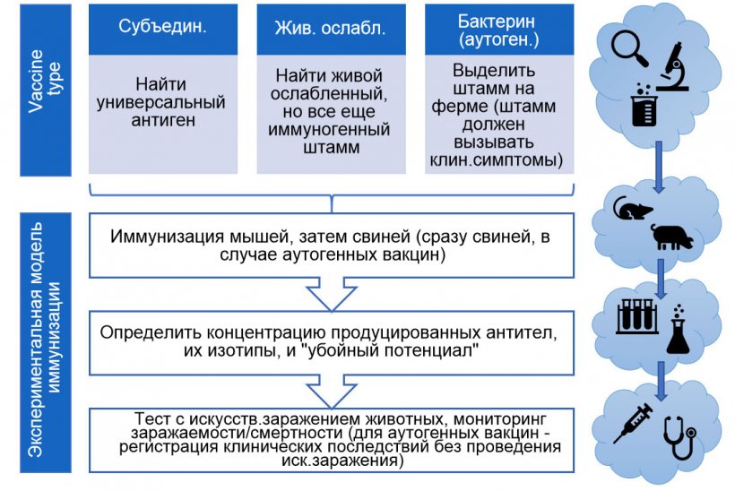 Рисунок 3. Шаги по экспериментальному тестированию действенности вакцин (по типам вакцин)

