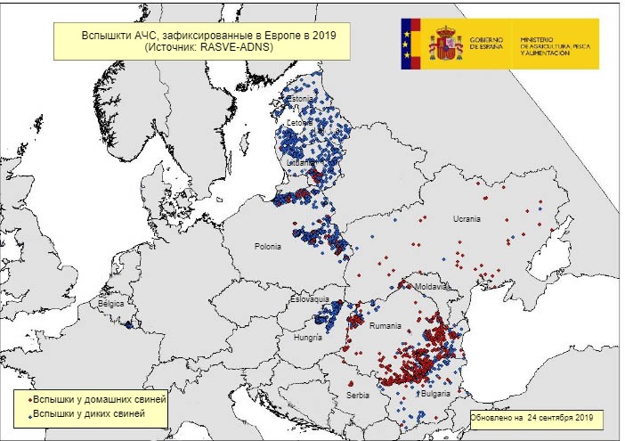 Карта вспышек АЧС в ЕС и Украине в 2019
