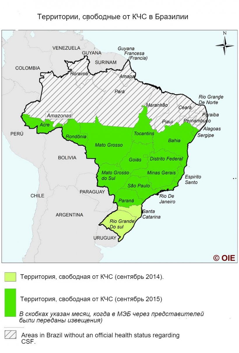 Ситуация с КЧС в Бразилии
