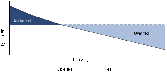 Objective of lysine in the diet for phase feeding versus a fixed level for a single diet