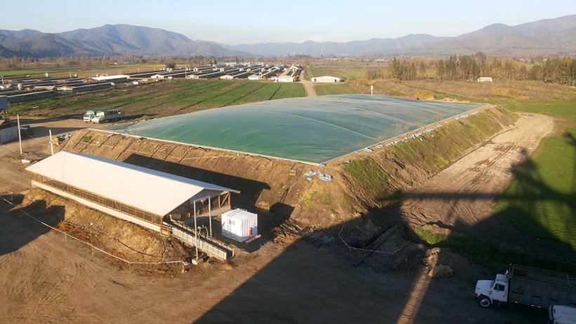 Фото 3: Накрытая анаэробная лагуна с переработкой в биогаз&nbsp;на заводе&nbsp;El Campesino Plant (Agr&iacute;cola AASA, Чили). Фото: Alejandro Gebauer.
