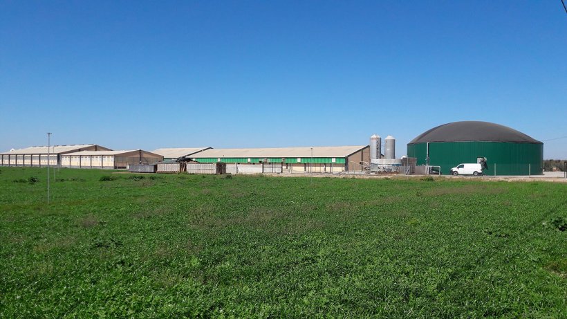 Фото 2: Свиноферма в Сегрии - регион Испании (Льейда, Испания), с производством биогаза для внутреннего потребления для отопления и электричества.&nbsp;

