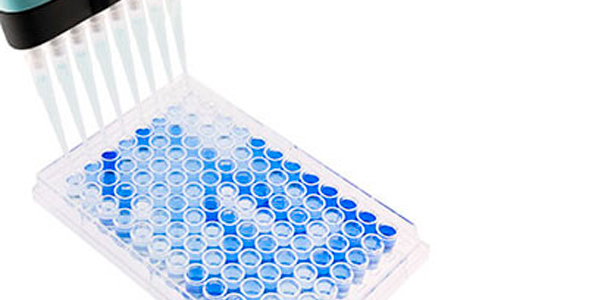 Фото1. Планшет с плоским дном и 96 ячейками, используемый для серологического анализа по РРСС. Позитивные образцы подкрашены синим. Источник: Base Pair Biotechnologies.
