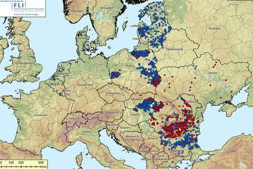 Карта вспышек АЧС в Европе на 10 сентября 2020. Вспышки среди диких кабанов (синий) и домашних свиней (красный).&nbsp;Источник: FLI.
