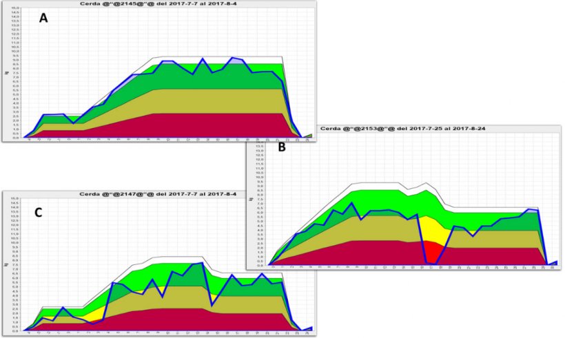 График 2. Графическая представление потребления корма лактирующими свиноматками, полученное с помощью электронных кормушек. A) принятая схема потреблеиня;&nbsp;B) существенное снижение; и C) небольшое снижение в период лактации. Зеленый участок показывает идеальное потребление корма одной конкретной свиноматкой, желтая область предупреждает, что потребление снижается, а красная отражает сильное отклонение от нормы и высокий риск репродуктивных проблем в будущем.&nbsp;Источник:&nbsp;GESTAL SOLO, JYGA Technologies.
