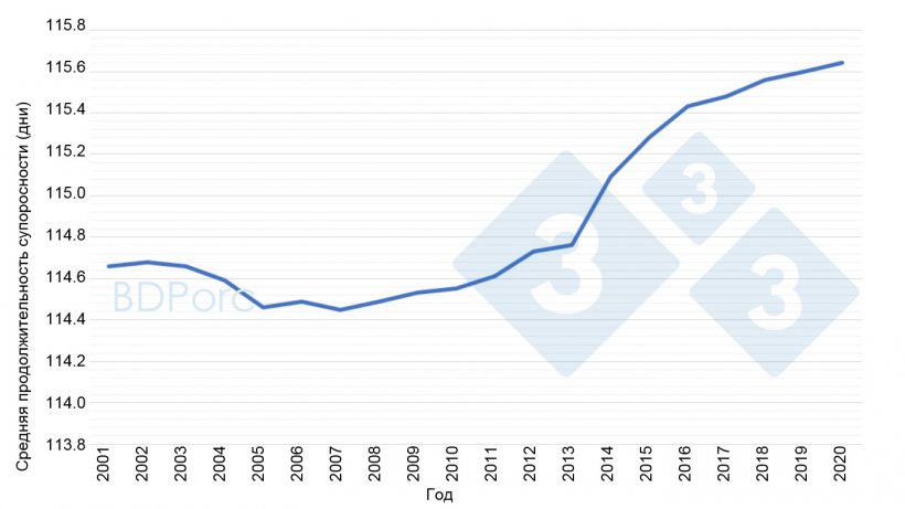 График 2. Средняя продолжительность супоросности в Испании с 2001 по 2020 годы. Источник: BDPorc.
