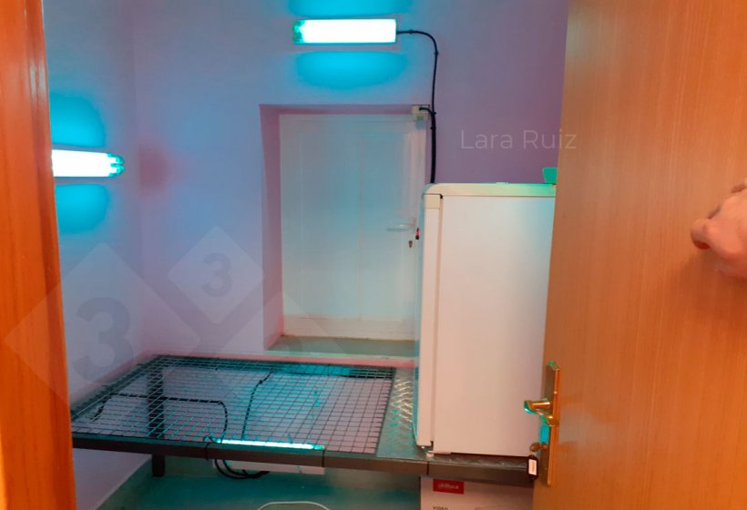 Фото 3. Помещения с ультрафиолетом для поступления небольших материалов. В этом случает помещение также используется для хранения приемного холодильника для семени, поступающего снаружи. Фото предоставлено Ларой Руиз.
