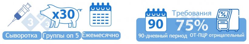 Категория I-B Положительная Нестабильная Низкая степень распространенности ВАРИАНТ 1) Сыворотка от 30 поросят-отъемышей тестировалась в группах раз в пять месяцев. Семьдесят пять процентов (три из четырех) партий за 90-дневный период должны быть отрицательными при ОТ-ПЦР на вирус РРСС, чтобы попасть в эту категорию.
