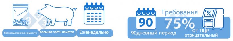 Категория I-B Положительная Нестабильная Низкая степень распространенности. ВАРИАНТ 2) Один объединенный образец производственных жидкостей еженедельно тестируется методом ОТ-ПЦР. В выборке должно быть представлено большинство пометов, обработанных в течение недели. Семьдесят пять процентов (10 из 13) партий за 90-дневный период должны быть отрицательными при ОТ-ПЦР на вирус РРСС, чтобы перейти в эту категорию.
