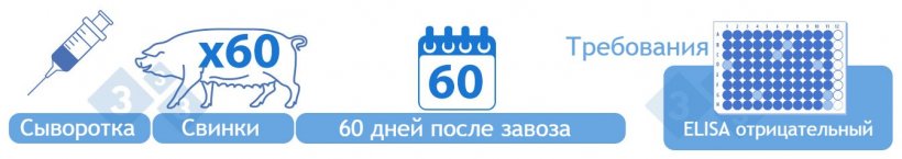 Категория III Условно отрицательная. Тестирование&nbsp;сыворотки&nbsp;от 60 отрицательных племенных замен с помощью ELISA через 60 дней после их первоначального завоза. Для достижения этой категории не требуется никаких положительных результатов.
