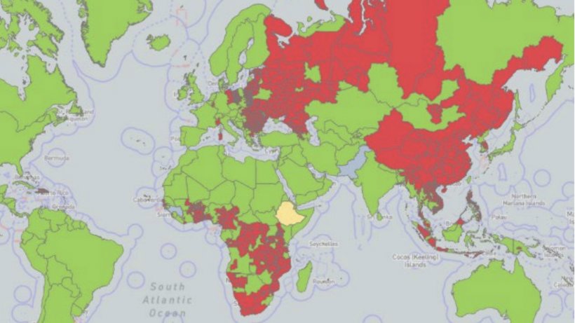 Глобальное кумулятивное распространение африканской чумы свиней с 2005 г. один раз) показаны красным цветом, подозрительные участки желтым, а свободные участки зеленым. Источник: WOAH.
