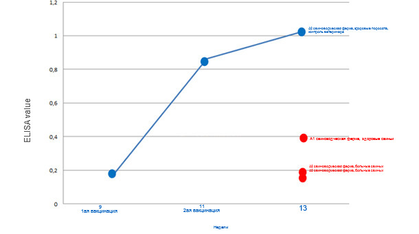 Графическое представление средних результатов ЭЛИЗА для отдельных групп животных