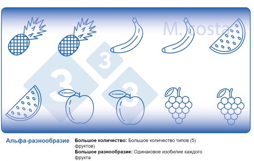 Фото 2. Как интерпретировать показатели микробного разнообразия в образцах (альфа-разнообразие). Разнообразие является продуктом большого количества (например, видов фруктов) и равномерности (например, распределения или изобилия каждого типа фруктов) в данном образце.
