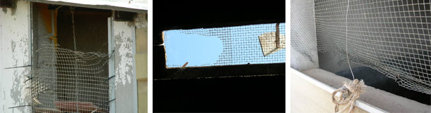 Поврежденные сетки для защиты от птиц, распространенная ошибка в системе обеспечения биологической безопасности на ферме.