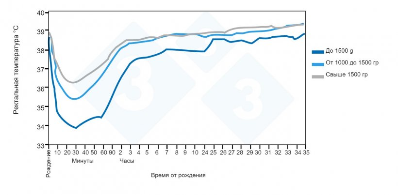 Рисунок 2. Динамика ректальной температуры от рождения до 35-часового возраста в зависимости от весовой группы при рождении. Источник: Паттисон, Инглиш, Макферсон и Бирни, 1989 г.
