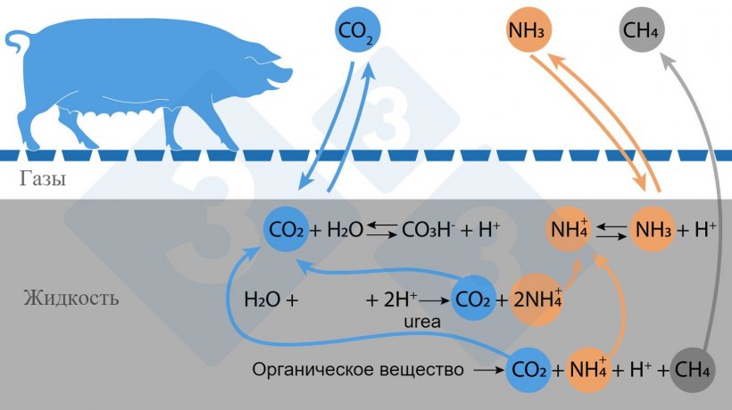 Рисунок 1. Упрощенная схема реакций, влияющих на выбросы NH3 и CH4.
