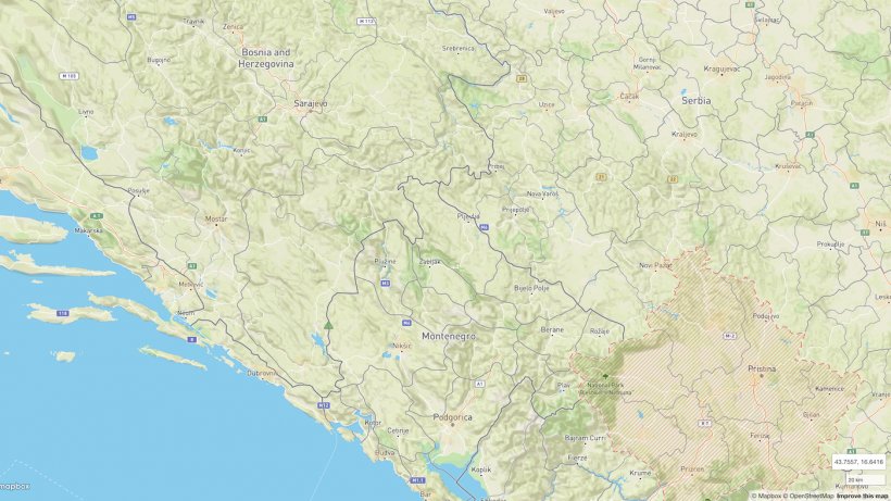 Месторасположение вспышки африканской чумы свиней в Черногории. Источник: WOAH.
