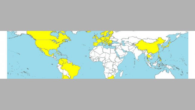 Страны, в которых диагностировали ЦВС2 (отмечены желтым цветом).