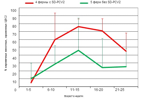 % виремичных животных, зараженных ЦВС2