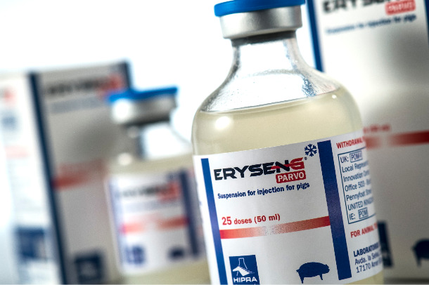 ERYSENG® PARVO