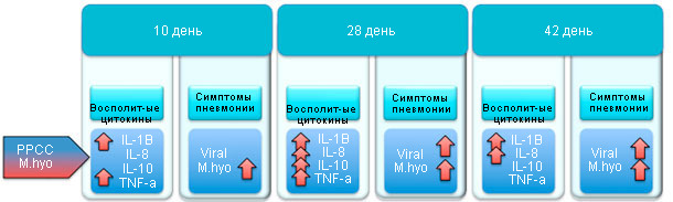 Proinflammatory cytokine levels and lung injury in pigs infected with PRRSv and M. hyopneumoniae