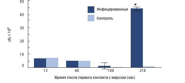 Интрацеллюлярная выживаемость H. parasuis в альвеолярных макрофагах свиней, предварительно инфицированных РРССв