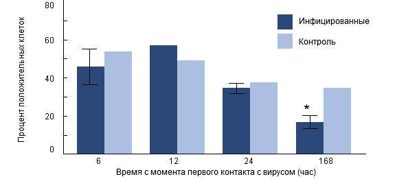 Интенсивность фагоцитоза H. parasuis альвеолярными макрофогами свиней, предварительно инфицированных РРССв