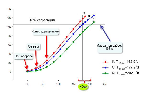 Evolution of average live weight of pigs over time